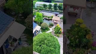 我家的小菜园是朋友们的最爱#我的小菜园 #我的乡村生活 #农家小院 #农家院农家菜农家生活 #田园生活乡村小院
