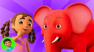 Main Hathi Main Hathi, चल मेरे घोड़े चल चल + More Hindi Nursery Rhymes for Children