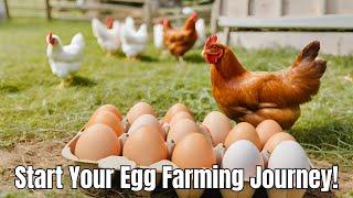 Eggcellent Eggs: Mastering Free-Range Egg Farming