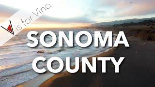 The History of Sonoma County Wine Country & the California State Flag - V is for Vino Wine Show