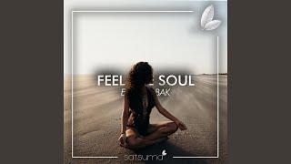 Feel The Soul