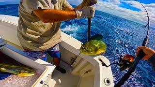 Trolling LIVE BAIT for DANGEROUS Hawaii predator fish! (Biggest I've ever SEEN!)