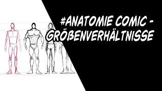 #Anatomie Comic - Größenverhältnisse