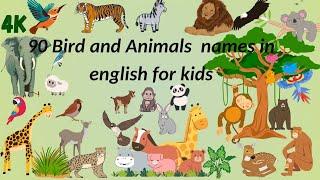 Learn  birds and animals name in English for kids, learm animal and bird,animals,birds,preschool,