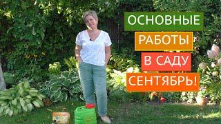 ОСНОВНЫЕ РАБОТЫ В САДУ В СЕНТЯБРЕ!!