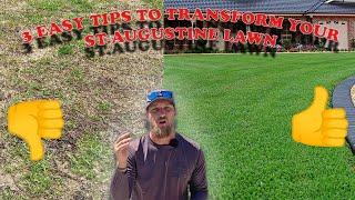 3 Quick and Easy Lawn Tips to Having a Thick and Green St. Augustine Lawn!!