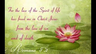 Romans 8:2 Law of sin and death and spirit of life explained refuting Hebrew Roots lies