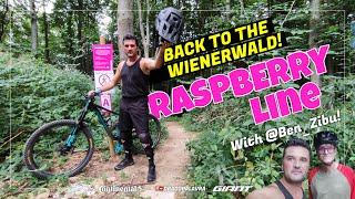 RASPBERRY LINE | Back to the Wienerwald | Drago Palavra