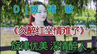 DJ版情歌《久醉红尘情难了》《相思入骨泪如雨》深情入心好听极了