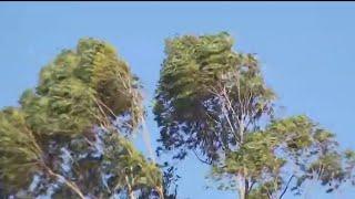 Thousands of people without power due to shutoffs| NBC 7 San Diego