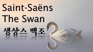 생상스 - 백조 fromcello | Saint-Saëns[The Swan]