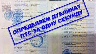 Как определить ПТС ДУБЛИКАТ за одну секунду Эксперт