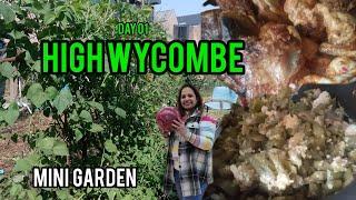 High Wycombe | Mini Garden | UK #goanvlogger