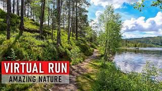 Trailrunners Paradise | 60 min Virtual Run in Stunning Nature Scenery | Treadmill