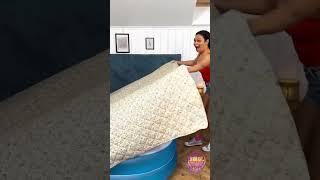 Bagnato e selvaggio! Il suo scherzo è stato perfetto!  #scherzo #piscina