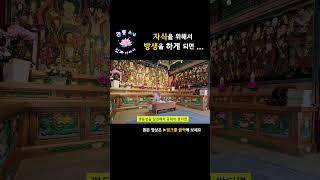 자식을 위해서 방생을 하게 되면......?