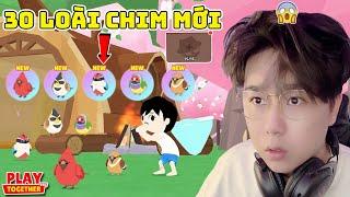 Play Together | Mình Phát Hiện 30 Loài Chim Mới Tìm Full 15 Vị Trí Thẻ Điệp Viên