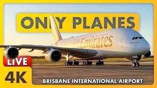  LIVE Twilight Plane Spotting @ BNE / YBBN / BRISBANE Airport w/ James + ATC ️