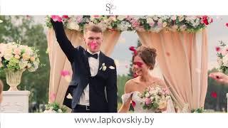 Ведущий Сергей Лапковский #VitkoWedding2017