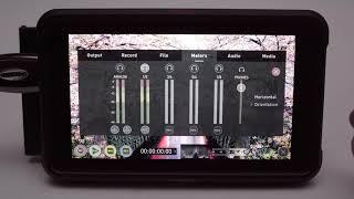 Atomos Ninja V 功能菜单详细使用介绍（上）