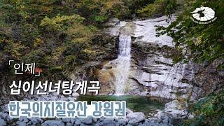 [국가지질공원] 인제 | 십이선녀탕계곡 - 한국의 지질유산 강원권