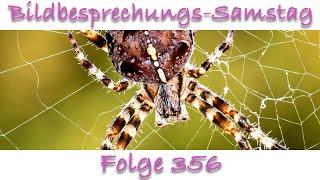 Bildbesprechung 356 Tierfoto Special