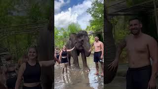 Ikuti keseruan mandi lumpur bersama gajah di program Elephant Mud Fun Bali Zoo