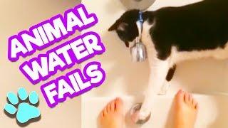 Best Animal Water Fails | #thatpetlife