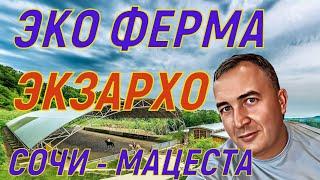 ЭКО Ферма ЭКЗАРХО. Сочи - Мацеста. Что там делать зимой?