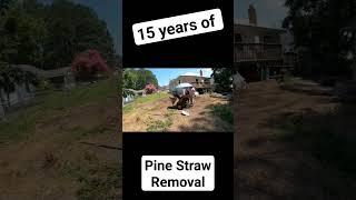 15 years pinestraw removal #yardclenaup #makenew #renovation #renovations #nc #abandonedhouse