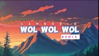 Wol Wol Wol - DJ (Remix) / Tik Tok. / P-Tra