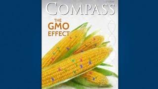 Compass Preview: GMOs and the Future of Agriculture