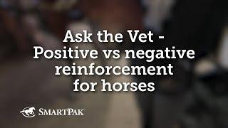 Ask the Vet - Positive vs negative reinforcement for horses