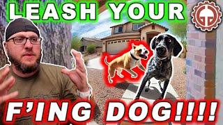 Confronting My Neighbor About His Aggressive Dog