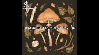 чем заняться когда скучно #ведьмочки #травницы
