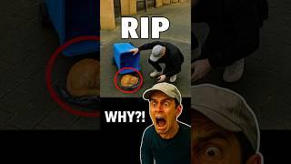 A different twist on these fails moments #funny #funnypets #funnyanimals #petportrait #dog #cat