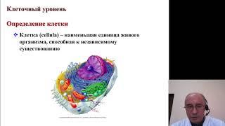 Гистология. Введение в дисциплину