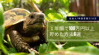 【貯蓄術6選】社会人1年目手取り18万円｜1年間で100万円以上貯めた方法