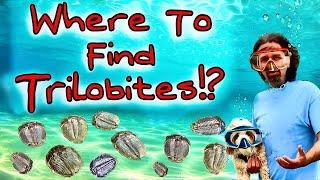 We Found Amazing Trilobite Fossils in Utah!