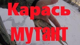 Взяли не правильную рыбу на рыбалку ©