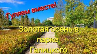 Шикарный парк Галицкого!Осенняя прогулка.