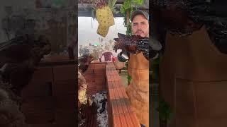 Comida Insólita creador  adalidgranier el mejor