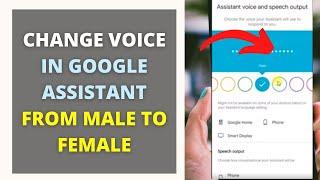 How to Change Voice in Google Assistant From Male to Female