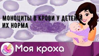 Моноциты в крови у детей и их норма