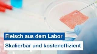 Alternative zur herkömmlichen Fleischproduktion: Der RWTH Innovation Award 2024 geht an FORmeat 