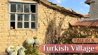 Turkish Village Life in Fall | Harvest Time in a Small Köy of Konya | Turkey Village Tour