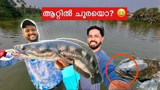 ലെ.. ഇത് ചൂരയല്ലേ ?? | Kerala River Fishing | Monster fish