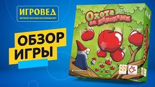 Охота за яблоками. Обзор настольной игры от Игроведа