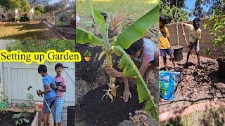 USA வீட்டு Garden setting up and Plant shopping 