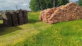 Начал бороться с сорняками на огороде. Да не хочу я покупать каракат. 18.06.25
